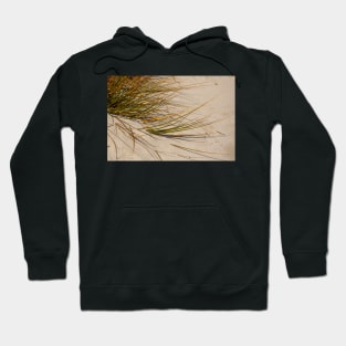 Sand grass. Hoodie